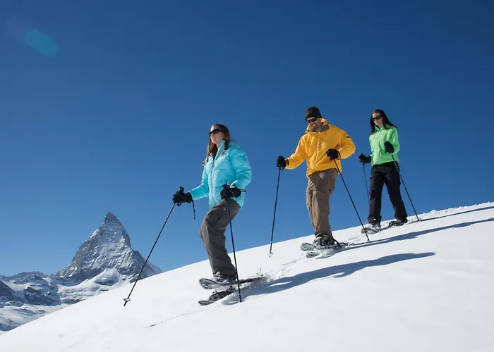 Lejlighed Jaegerhof Serviced Apartements Zermatt